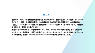 wp-mops-diagnostic-intro_p2