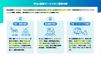 wp-mops-diagnostic-intro_p3